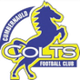 Cumbernauld Colts