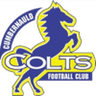Cumbernauld Colts