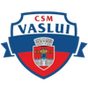 CSM FC Vaslui