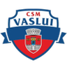 CSM פ.ק. ואסלוי