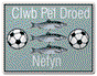 Nefyn United