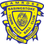 Basingstoke Town
