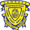 Basingstoke Town