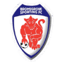Bromsgrove Sporting