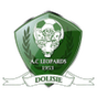 Léopards de Dolisié