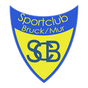 Bruck an der Mur