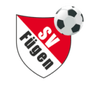 Fügen