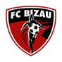 Bizau