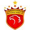 שנגחאי SIPG