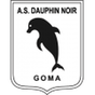 Dauphins Noirs