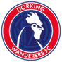 Dorking Wanderers