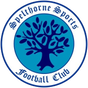 Spelthorne Sports