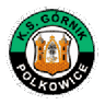 Górnik Polkowice