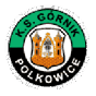 Górnik Polkowice