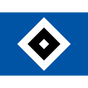 Hamburger SV II