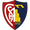 Montevarchi Calcio
